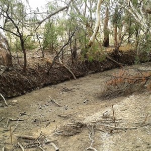 A dry Macquarie River