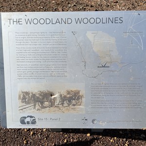 Turnoff to Granite & Woodlands Discovery Trail