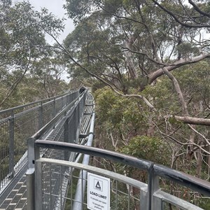 Valley of the Giants Tree Top Walk