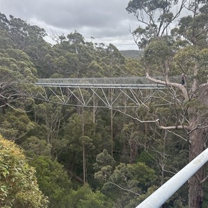 Valley of the Giants Tree Top Walk
