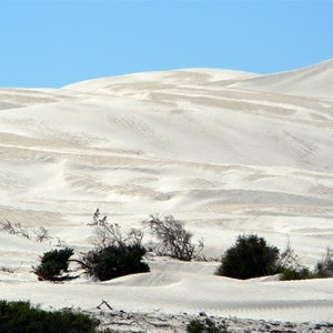 Sand sculpture.