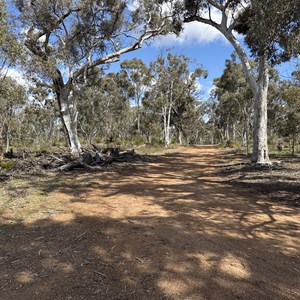 Catchment Rd & Pony Rd