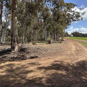 Catchment Rd & Pony Rd