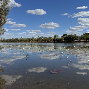Leichhardt Lagoon Camping Park