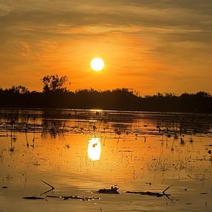 Leichhardt Lagoon Camping Park