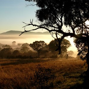 Morning light, Wallaroo NSW