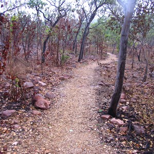 Track to middle and upper falls