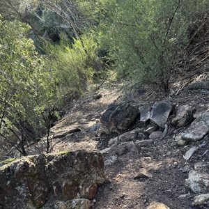 Ben Halls Cave