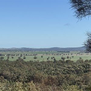Ben Halls Cave