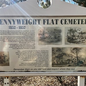 Pennyweight Flatchildrens Cemetery