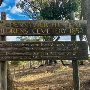 Pennyweight Flatchildrens Cemetery