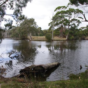 Duck Lagoon