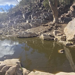 Bolla Bollana Spring