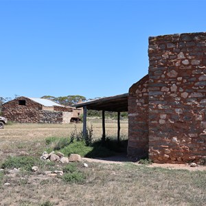 Balbinia
