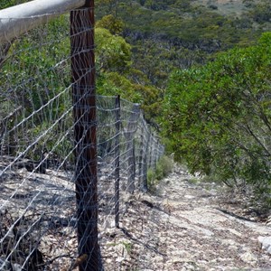 Vermin Proof Fence - Scenic Views