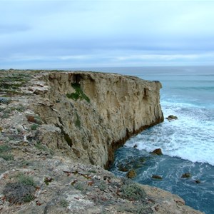 Dog Fence Beach Cliffs 