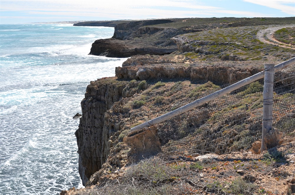 Dog Fence Beach Cliffs Wahgunyah NP SA ExplorOz Places