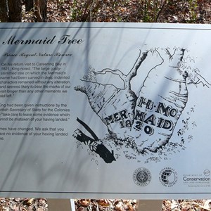 Mermaid Tree - Careening Bay - Signage