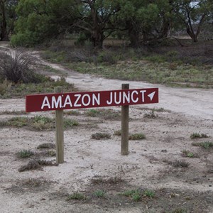 Amazon Junction 