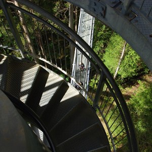 Otway Fly Treetop Adventures