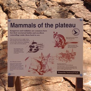 Mammals of the Plateau