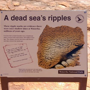 A Dead Sea's Ripples
