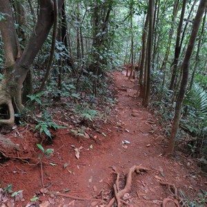 Track to falls