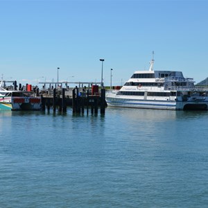 Cairns Marlin Marina 