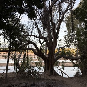 Gilbert River Rest Area