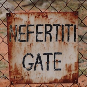 Nefertiti Gate