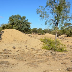 Fossil Hunting Site 2