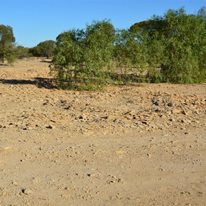 Fossil Hunting Site 2