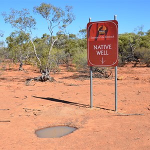 Native Well 