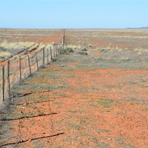Dog Fence - Strzelecki Track