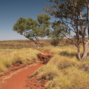 Track conditions in the spinifex