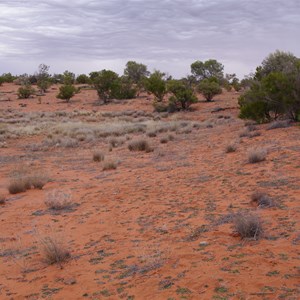Aboriginal Native Well 