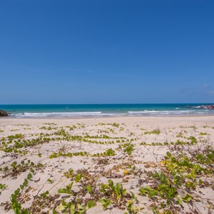 Ngumuy (Turtle Beach)