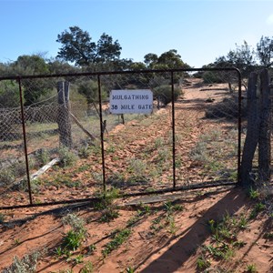 Dog Fence - Mulgathing Gate - 38 Mile Gate