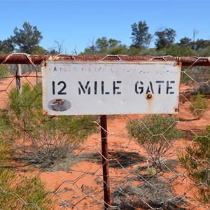 Dog Fence - 12 Mile Gate