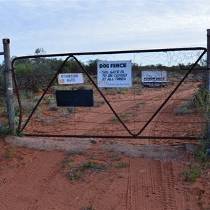 Dog Fence - Wynbring Gate