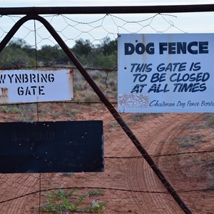 Dog Fence - Wynbring Gate