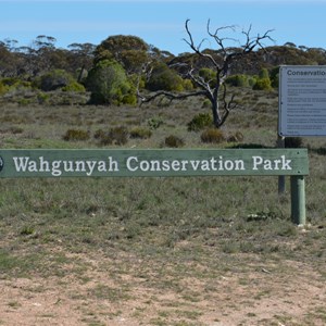 Wahgunyah Conservation Park - Eastern Boundary