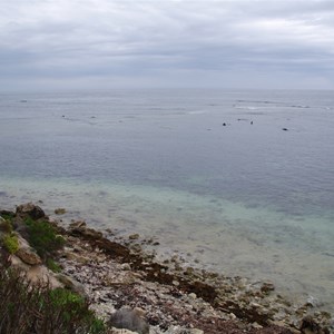 D’Estrees Bay Self-guided Drive - Stop 3 - Osmanli Reef