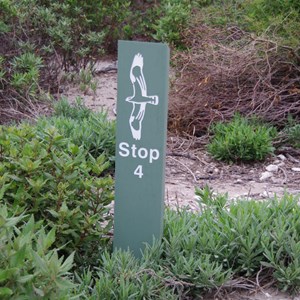D’Estrees Bay Self-guided Drive - Stop 4 - Point Tinline