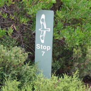 D’Estrees Bay Self-guided Drive - Stop 7 - Wheatons Beach