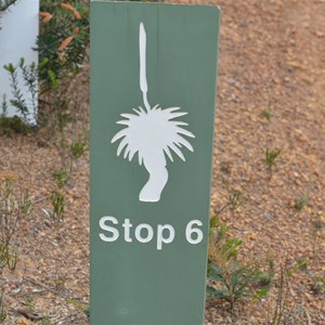 Shackle Road Self Guided Drive - Stop 6