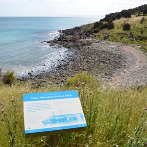 Cape Willoughby Bullock Track Information Sign