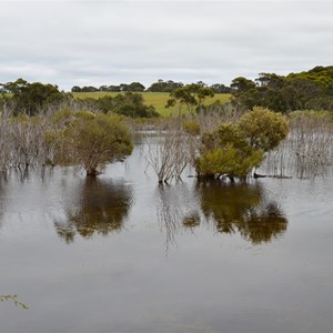 Tea Tree Lagoon