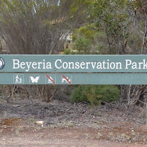 Beyeria Conservation Park Walk