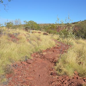 Island Stack Track